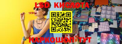СК Кандалакша