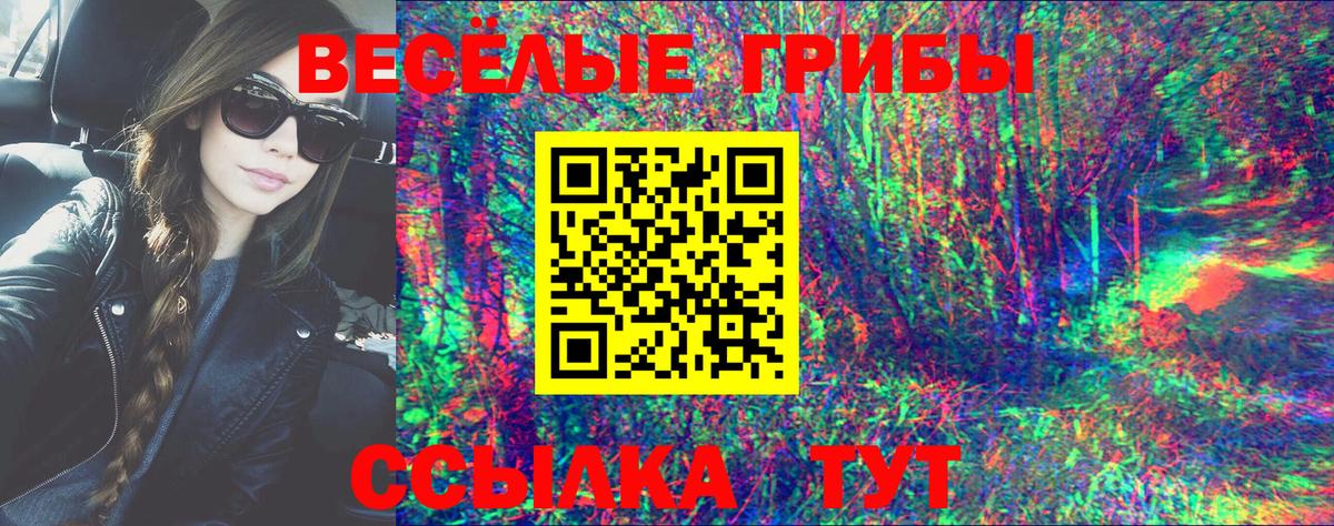 Галлюциногенные грибы Cubensis Кстово