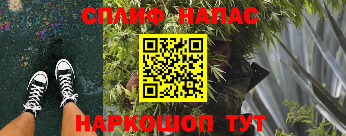 Каннабис конопля Кстово